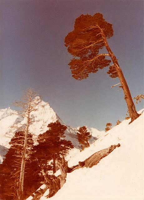Belala Kaja vypadá jako Matterhorn (1981 DE)