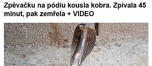 kobra1