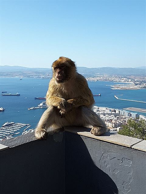 Gibraltar 3