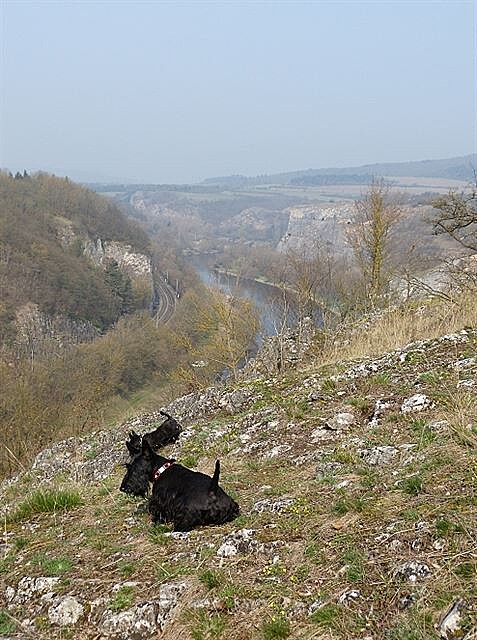 Beruky nad ekou, autor ttinka