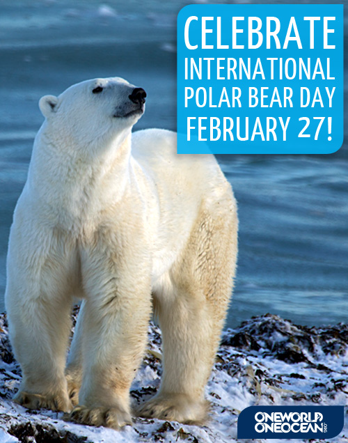 Mezinárodní den polárních medvd