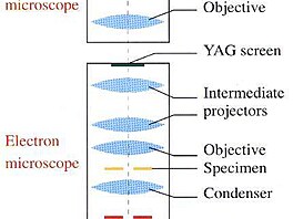 schema