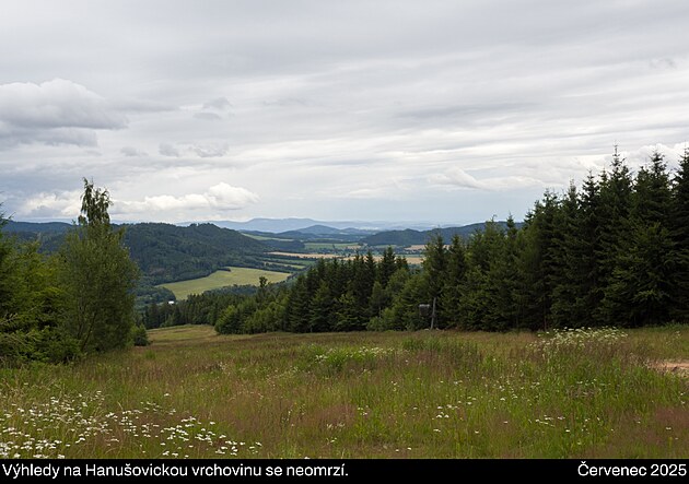 Výhledy na Hanušovickou vrchovinu. Vokolo Moravy. Červenec 2025