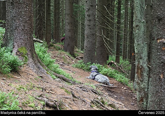 Cesta kolem Bukové hory. Vokolo Moravy. Červenec 2025
