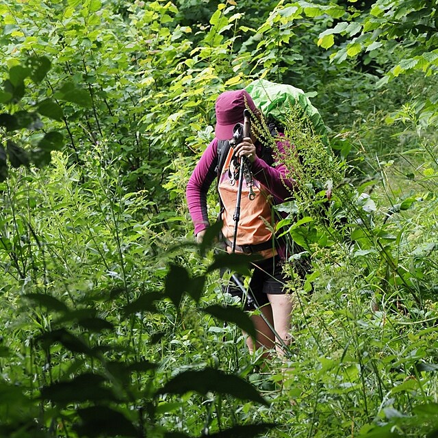 Cesta z Cotkytle. Vokolo Moravy. Červenec 2025