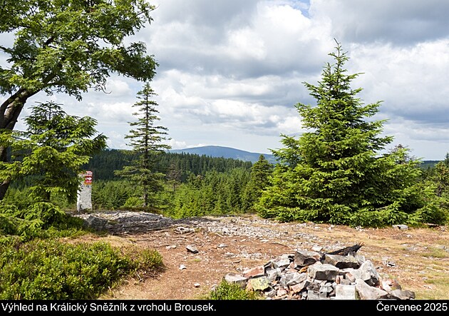 Výhled na Králický Sněžník z vrcholu Brousek. Vokolo Moravy, červenec 2025.