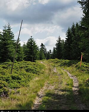 Cestou z Kladského sedla na Brousek. Vokolo Moravy, červenec 2025.