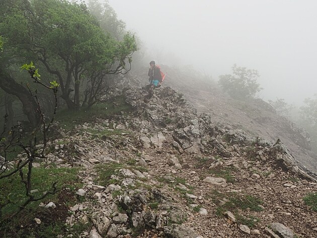 Malé Karpaty (navazují na Považský Inovec), květen 2025, den 6