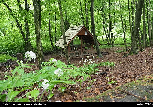 Malé Karpaty (navazují na Považský Inovec), květen 2025, den 6