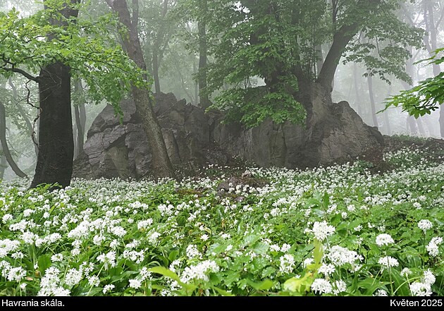 Malé Karpaty (navazují na Považský Inovec), květen 2025, den 6