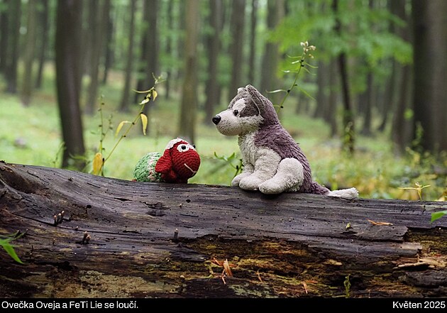 Malé Karpaty (navazují na Považský Inovec), květen 2025, den 6