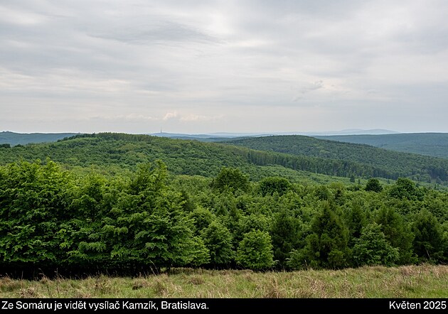 Výhled ze Somáru. Malé Karpaty, květen 2025, den 8