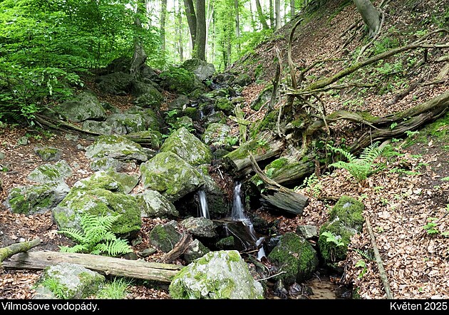 Vilmošove vodopády, Malé Karpaty, květen 2025, den 8