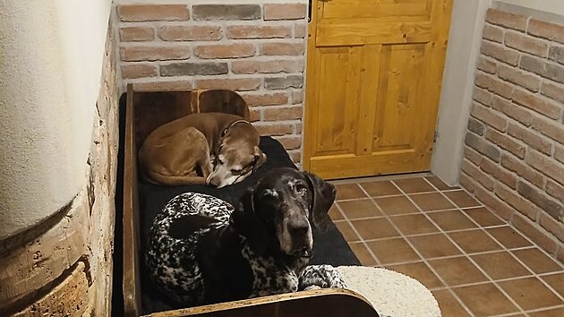 Vpředu Tali, za ní Rumíček