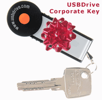 USB Drive Corporate Key