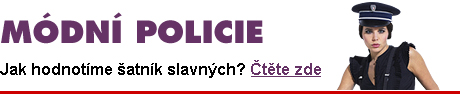 Mdn policie