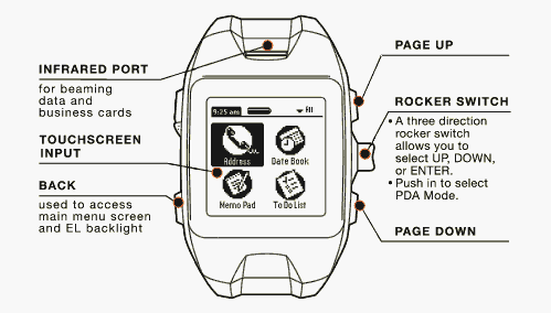 Wrist PDA