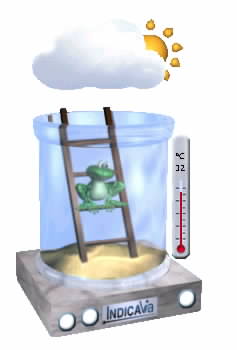 Rosnika Froggy vm sdl jak dnes v celm svt je