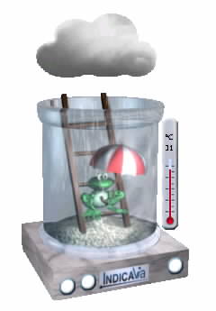 Rosnika Froggy vm sdl jak dnes v celm svt je