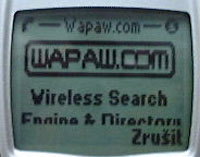 Nokia 6210 - displej - WAP