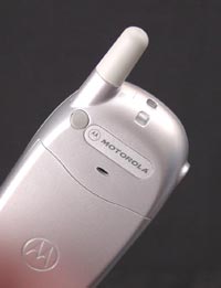 Motorola T191