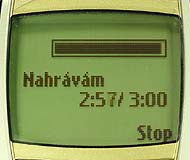 Nokia 6310-displej