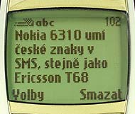 Nokia 6310-displej