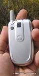 Motorola V600