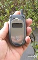 Motorola V547