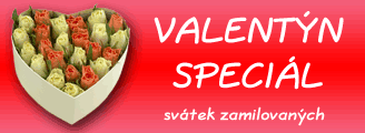 Valentnsk ploha revue.iDNES.cz