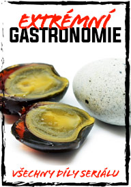 Extrmn gastronomie