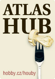 Atlas hub