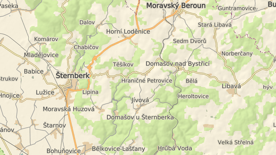 Autobus narazil do stromu na okraji Hraninch Petrovic na Olomoucku.