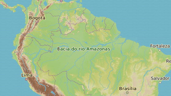 Manaus