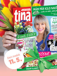 tina pedplatn na 1 rok