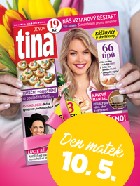 tina p�edplatn� na 1 rok