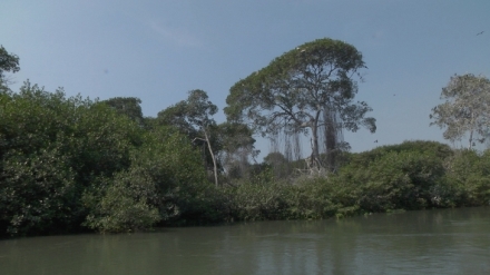 Na cest� po ekv�dorsk�m Manab�