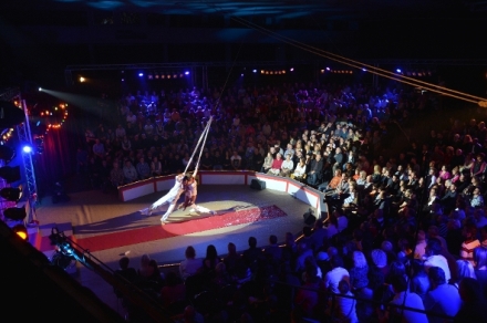 Man� Bolka Pol�vky