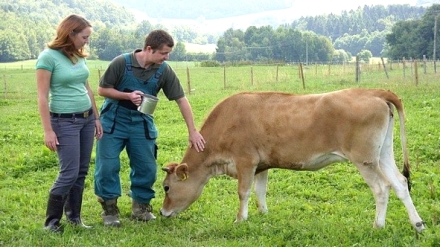 Mal� farma
