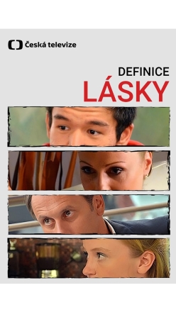 Definice lsky