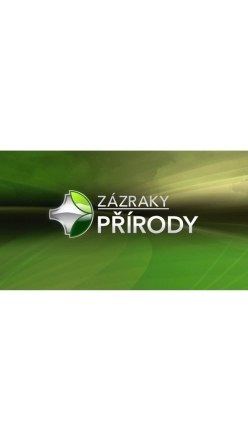 Zzraky prody