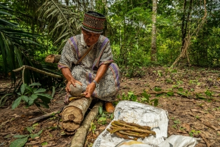 Na cest po stednm Peru