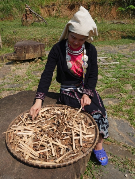 Na cest po stee Indony