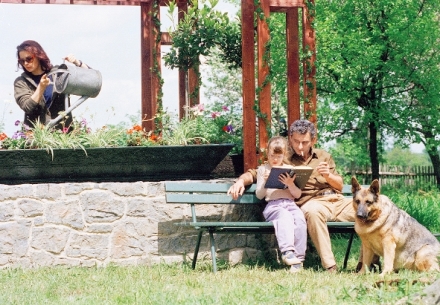 B�je�n� l�ta pod psa