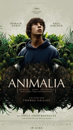 Animalia