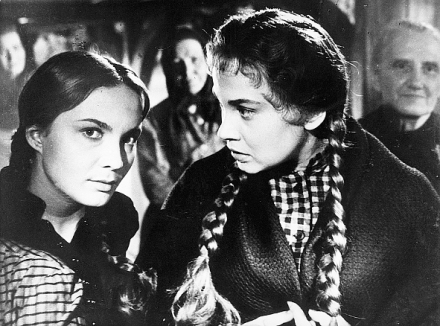 Kde �eky maj� slunce