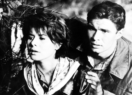 Cesta hlubok�m lesem