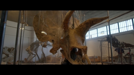 Vydra�te si sv�ho dinosaura