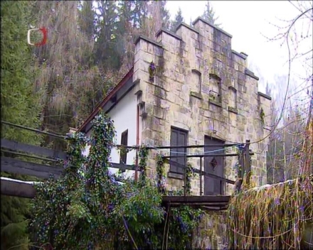 Zreziv�l� kr�sa