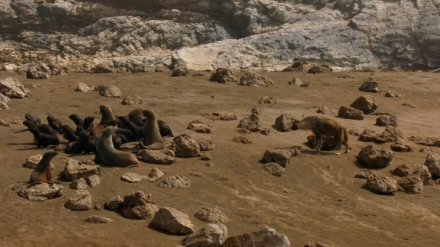 Dokonal� mo��t� pred�to�i (3/4)